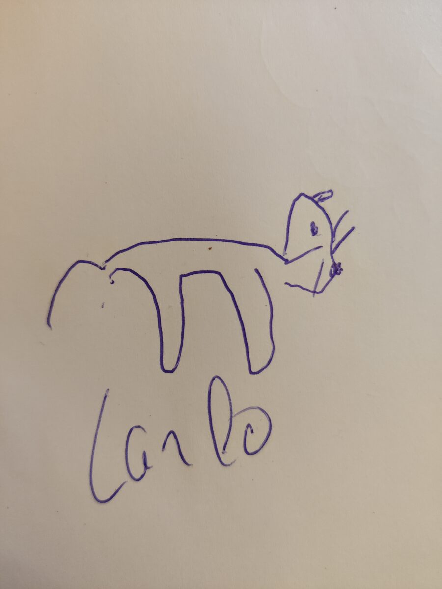 Carlo Original