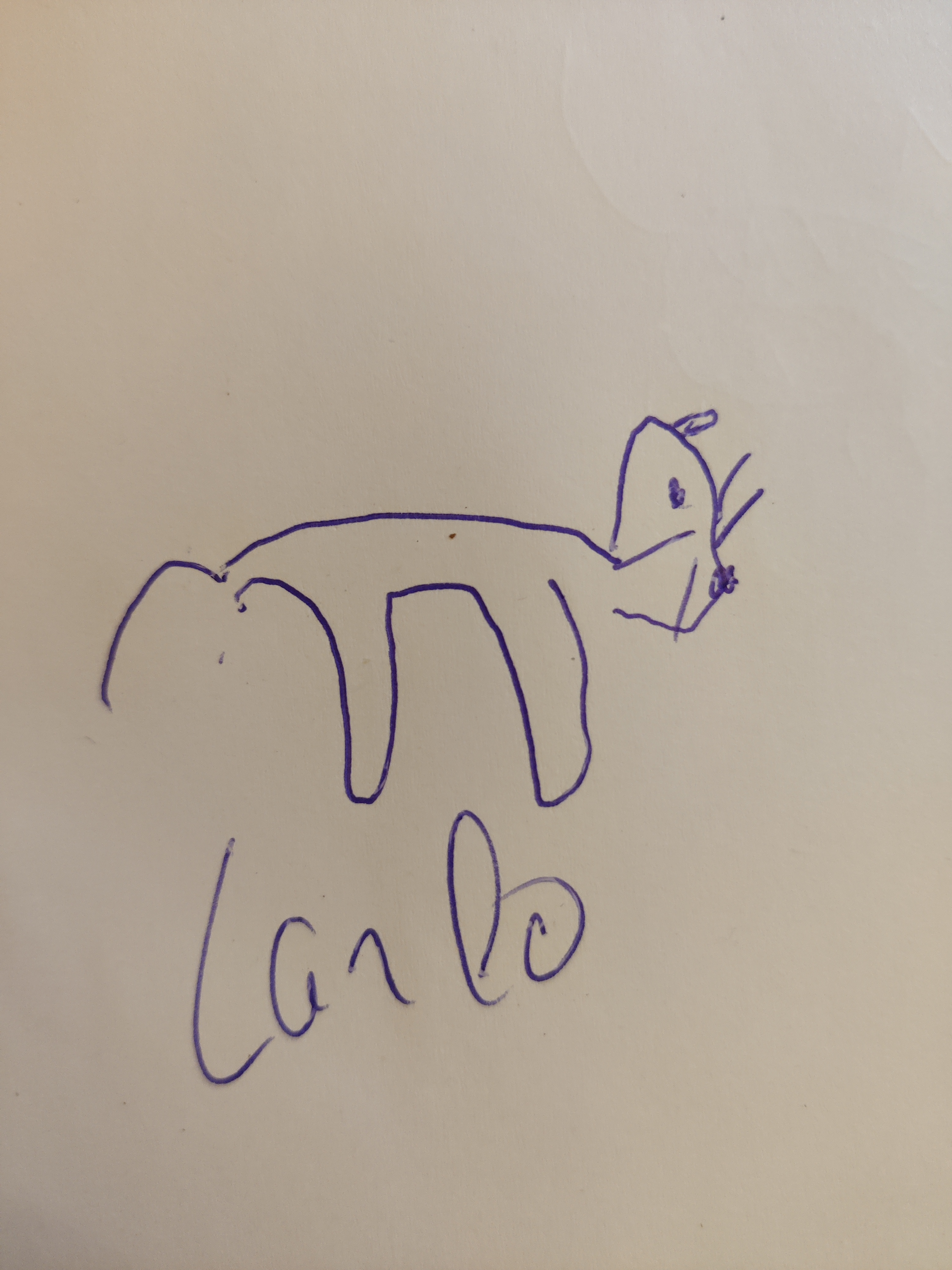 Carlo Original