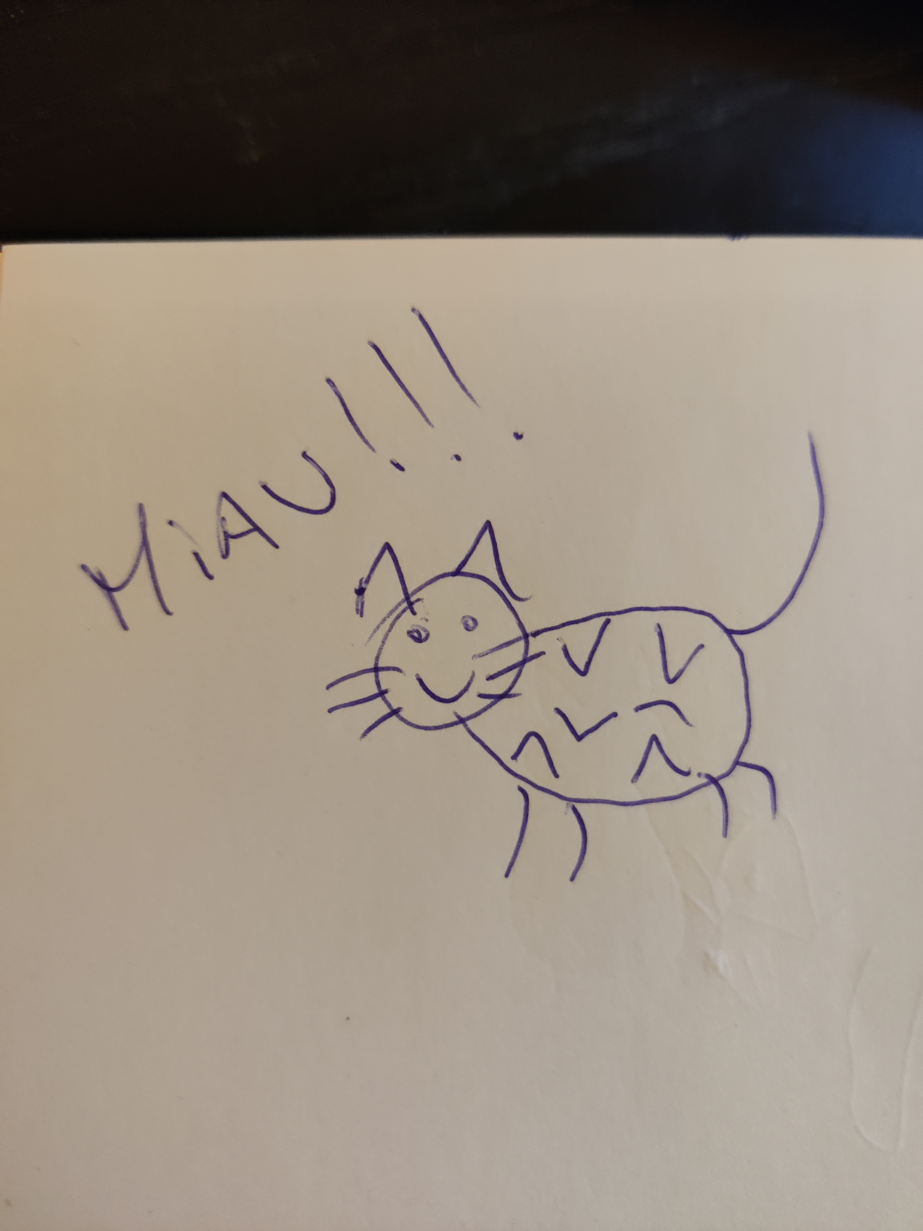 Miau Original